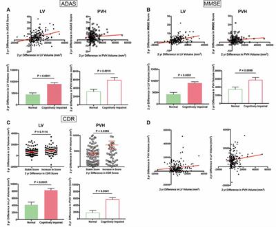 Ventricular and Periventricular Anomalies in the Aging and Cognitively Impaired Brain